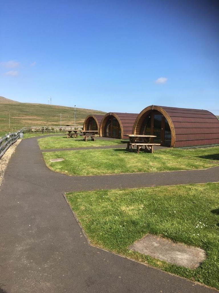 Standing Stones Lodge Belfast Eksteriør billede